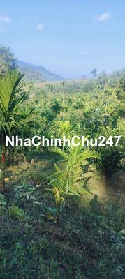 Chính chủ 5 ha ,5  bám suối có nhà  đã thép gai rào kín đất có 2 hồ