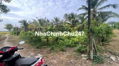 Chính chủ bán gấp đất trồng CLN ngay Bàu Đồn - Tây Ninh - 638m2