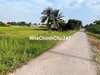 Bán nền đất thổ nhị thành thủ thừa - long an