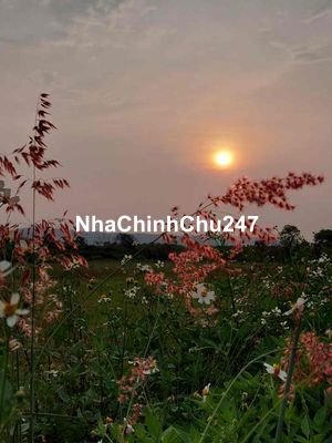 Nhà còn dư lô đất bán lo Tết