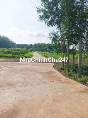 Chính chủ  bể quá cần bán gấp.2 miếng đất tc