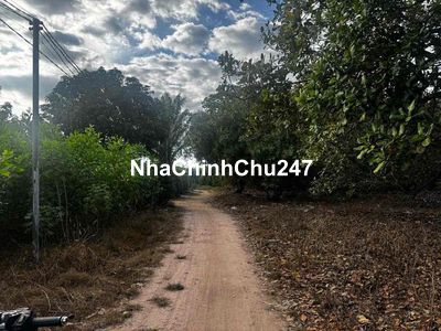 Chính chủ cần bán 1 mẫu 2 Xuân Bắc-Xuân Lộc