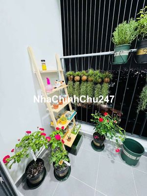 Chính chủ bán căn hộ Bcons plaza 1PN giá 1,58 tỷ