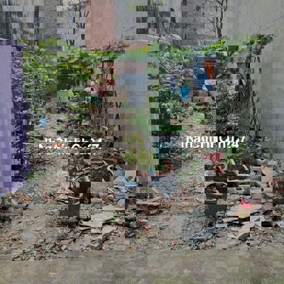 Chủ gửi , bán đất 1 xẹc ngắn đường Tân Chánh Hiệp 08