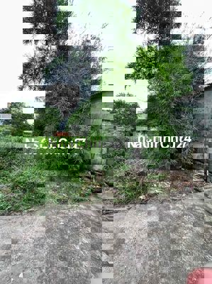 CHÍNH CHỦ GỬI BÁN 277m2 SỔ RIÊNG THỔ CƯ 100%