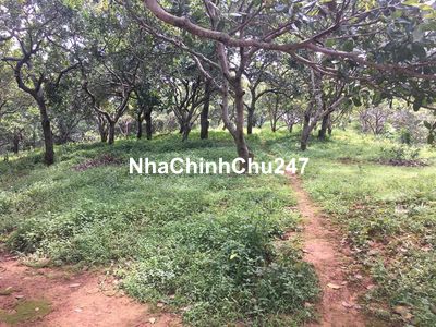 Chính chủ - bán 3500m2 đất tại Định Quán, Đồng Nai giá bán 14 tỷ