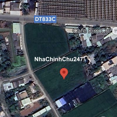 Chính chủ cần bán 3686m2 đất xã Tân Bình,huyện Tân Trụ ĐT833C - nở hậu