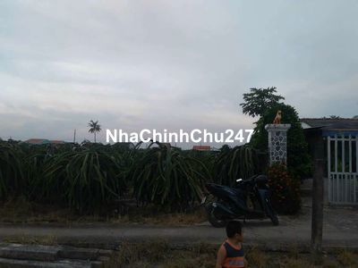 Chính chủ bán 200m thổ