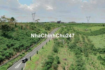 Chủ Chạy Nợ, Thanh Lý Đất 200m² Full Thổ Cư, mặt tiền Nam Hồ–Ngang 10m