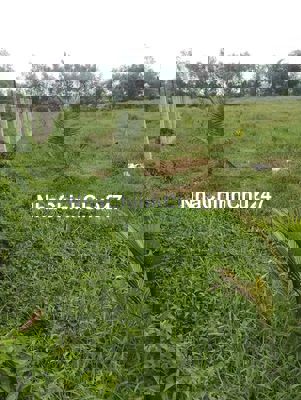Bán Đất xã tân phú trung DT.4.212m mục đích sử dụng là HNK.CLN