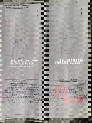 Đất đang trồng cây ăn trái không người chăm sóc