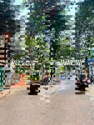 Đất Tôn Thất Tùng Không Lỗi – P. Tân Lập (5x24m.TC 100%)
