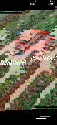Bán nhà vườn nghỉ dưỡng
