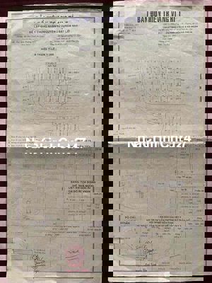 Đất Chính Chủ Bán Đường Lê Thị Riêng Phường Thới An.Quận 12