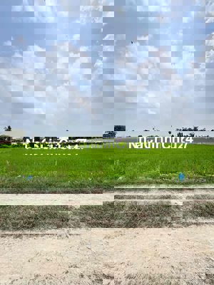 s191 Chủ gửi bán 3 lô đất liền kề, đức hòa thượng đường 4m xe hơi, đất