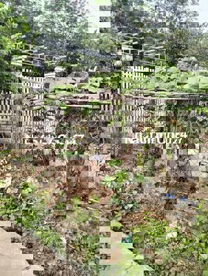 Bán đất có 100 thổ cư