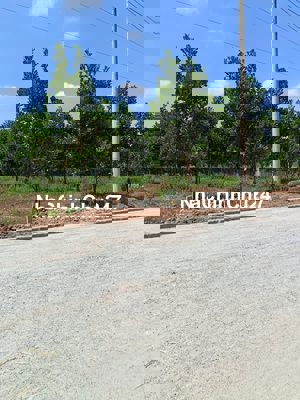Chính chủ bán vườn mít thái 650tr