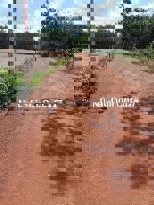 Bán lô đất mặt đường đất đỏ, sổ hồng sẵn, dân cư đông đúc.