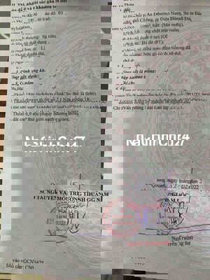 Đường số 2 Điện Nam Đông
