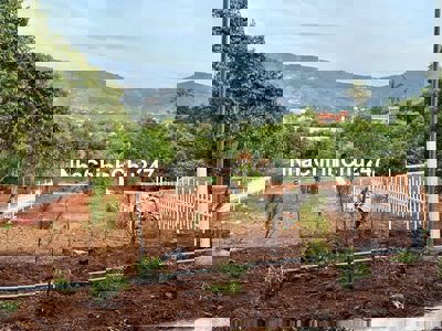 Bán 500m2 đất Nghỉ Dưỡng View Suối Cam Ly- Trung Tâm TT Nam Ban
