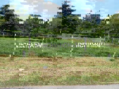 CHỦ BÁO GIÁ SỐC! 256M²–MT 6M, Đ.TRƯƠNG THỊ KIỆN, THÁI MỸ–CHỈ 550 TRIỆU
