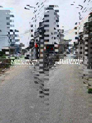 Cần Tìm Chủ Mới Cho Em nó