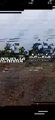 Bán đất chính chủ