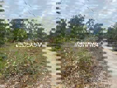 Bán 1912m2 đất ONT Tân Phước - TX LaGi cách Biển 500m chính chủ