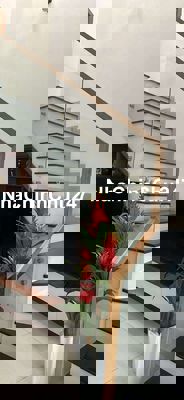 Bán Nhà Đẹp Thanh Lương 9 - Hòa Xuân - Cẩm Lệ - Đà Nẵng