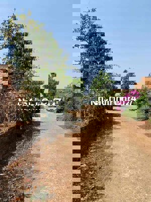 Chính Chủ Bán Đất Hẻm Lý Thường Kiệt – Đất Đẹp, Gần Vòng Xoay Chư á