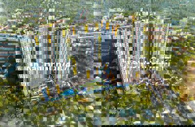 🌻Bcons Solary - SIÊU PHẨM MỚI TỪ TẬP ĐOÀN BCONS!