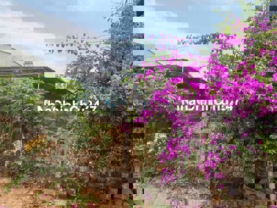 Bán đất đường Trần Quý Cáp, giấy tờ đầy đủ