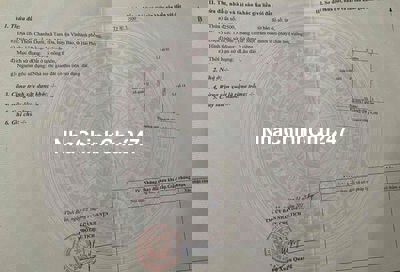 Đất ở 136m2 Thôn Chanh Dưới xã Tam Đa, Vĩnh Bảo giá 1,08 tỷ đồng