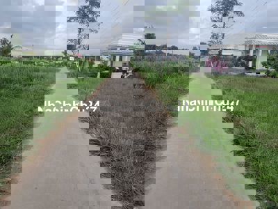 Đất 247m2 tại Gò Công Đông Tiền Giang,  đường xe hơi, nở hậu, sổ rồi