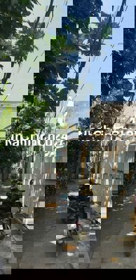 Đất Full thổ cư hẻm xe hơi HÀ HUY GIÁP TL Q12 dt 142,1m²💰5,7 tỷ