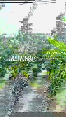 đất chính chủ cần bán miễn trung gian