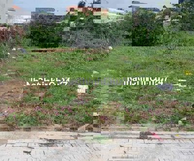 Bán nhanh đất thổ cư ở mặt tiền mậu thân,p9,thành phố cà mau chính chủ