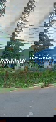 Chủ ngộp quá mới bán giá này 1.000m2 thổ cư