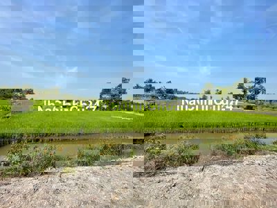 Chính chủ bán 6000m2 đất nông nghiệp gần sông Vàm Cỏ Đông
