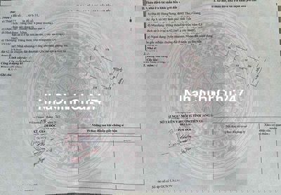 Nền Mỹ Phong full thổ cư đươngg ô tô giá bèo lắm