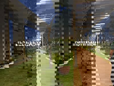 𝐒𝐀𝐑𝐈𝐍𝐀 3𝐏𝐍 TÌM CHỦ NHÂN MỚI