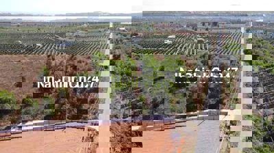 Đất mặt tiền có thổ cư gần Nova World