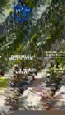 đất thổ cư, sổ hồng riêng, Tân Phú Đông, Tiền Giang