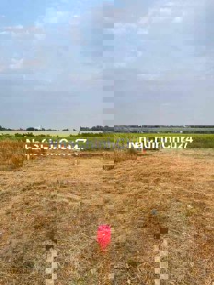 Chính chủ cần bán đất Long An
