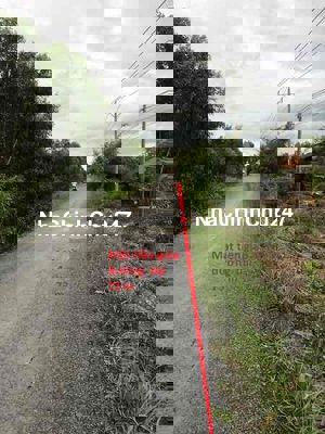 Chính chủ bán đất mặt tiền huyện Tân Phước - Tiền Giang