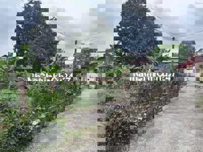 Chính Chủ Cần Bán Đất Ở Thị Trấn Hà Trung