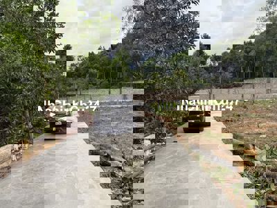 Bán Nền Sẵn Thổ Cư , Sát Trục Chính Cây Thông Ngoài