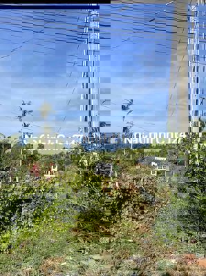 Đất Mặt Tiền Full Thổ Cư gần Trung Tâm huyện mỏ cày Bắc