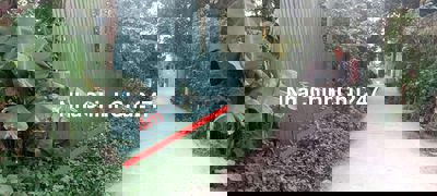 Ô TÔ TRÁNH – NGÕ THÔNG – KINH DOANH ĐƯỢC 💥
ĐẤT THÚY LĨNH 42M²