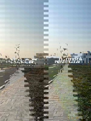 Chính chủ đăng bán lô 117m2  xã Tây Ninh-Tiền Hải -Thái Bình